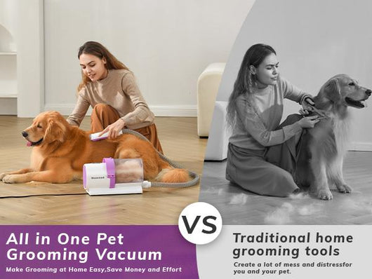 All-In-One Dog Grooming Kit