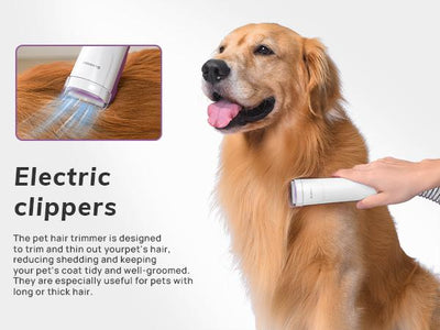 All-In-One Dog Grooming Kit